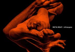 Image - Meta Meat